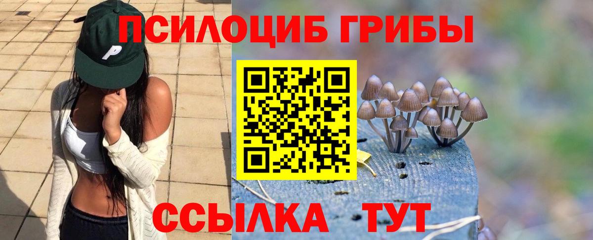 Галлюциногенные грибы MAGIC MUSHROOMS  Вход с VPN  Нижний Тагил 